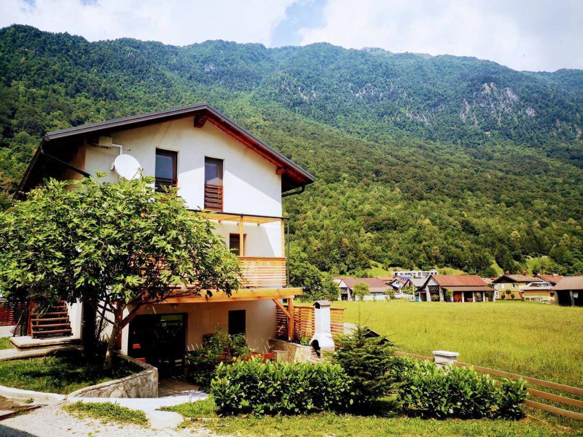 Apartment House Blazar โทลมิน ภายนอก รูปภาพ