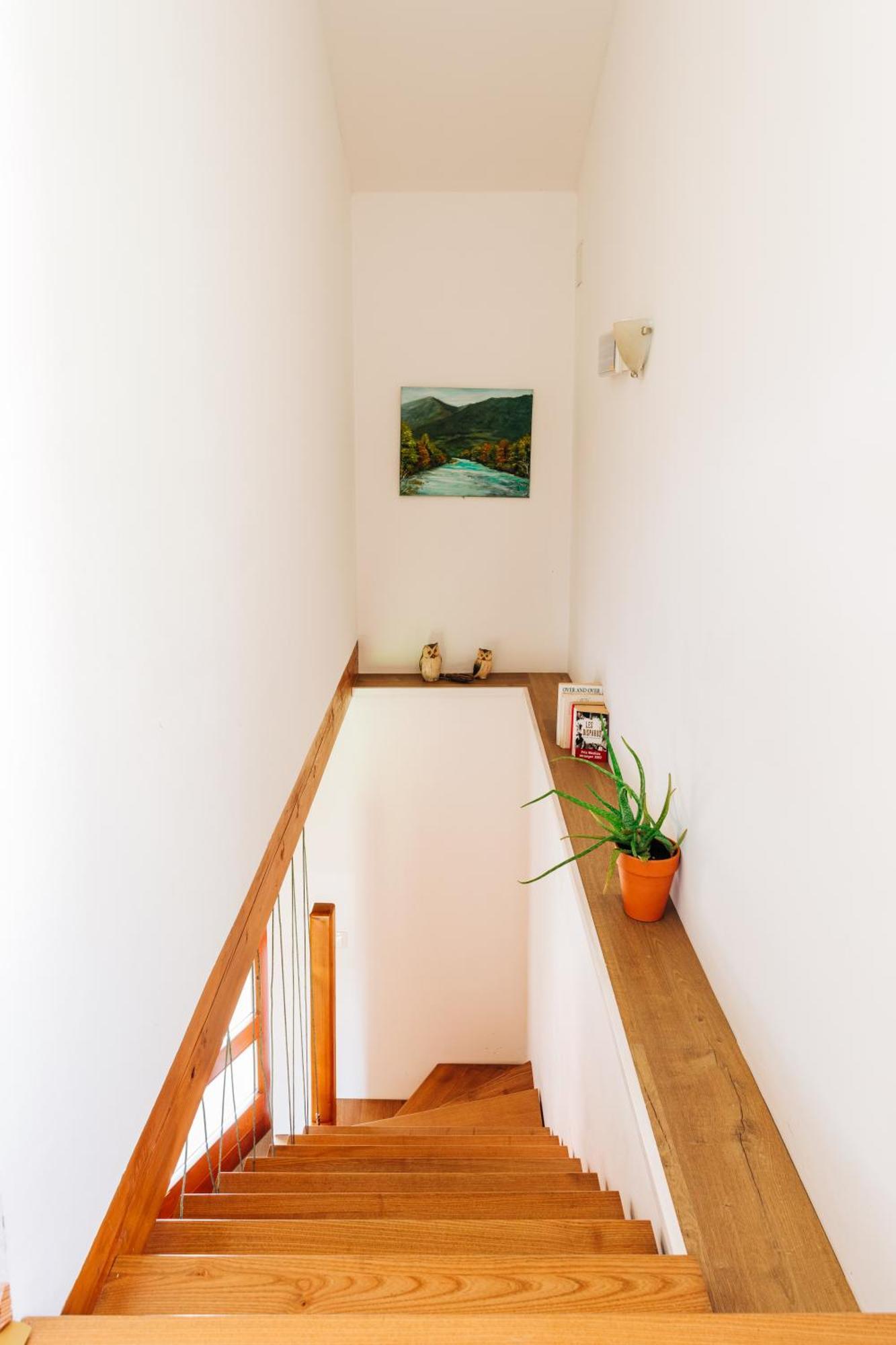 Apartment House Blazar โทลมิน ภายนอก รูปภาพ